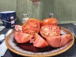 Golden Cherokee Tomato
