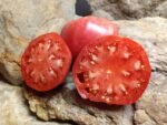 HAZELFIELD FARMS HEIRLOOM TOMATO
