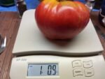 Hazelfield Farms Tomato