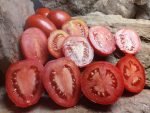 HEALTH KICK F3 INDETERMINATE TOMATOES