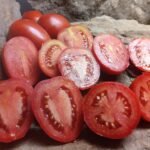 HEALTH KICK F3 INDETERMINATE TOMATOES
