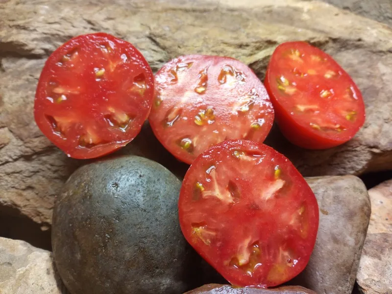 HEINZ 2274 NEW TOMATOES
