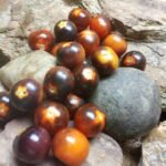 HELSING JUNCTION BLUES SALAD TOMATO