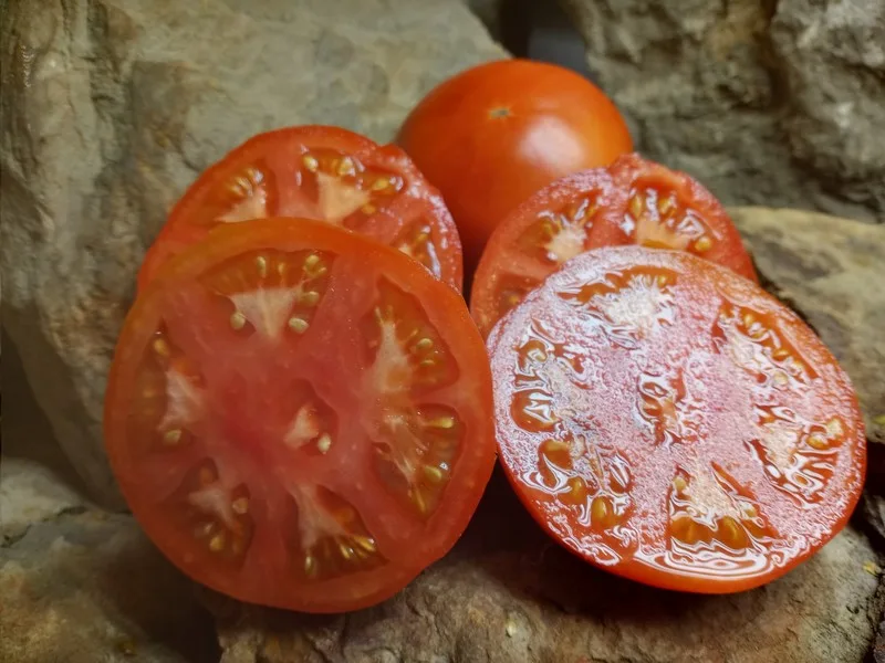 HIENZ 2274 RED TOMATOES