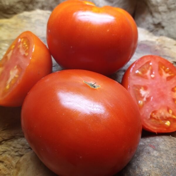 HIENZ 2274 SAUCE TOMATOES