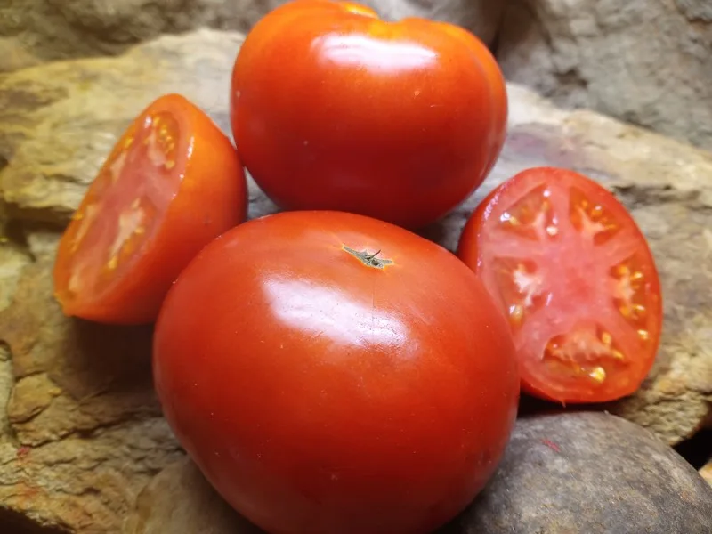 HIENZ 2274 SAUCE TOMATOES