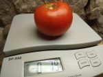 HOWARD BYRON RED TOMATOES