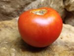 HOWARD BYRON SLICING TOMATO