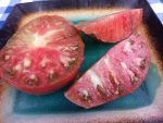 HUNK PAPA BICOLORED TOMATO