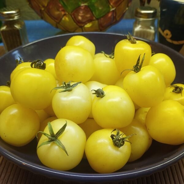 Ice Cherry Tomato