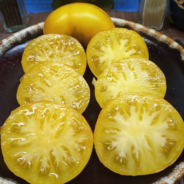 Jaydee (F8) Tomato