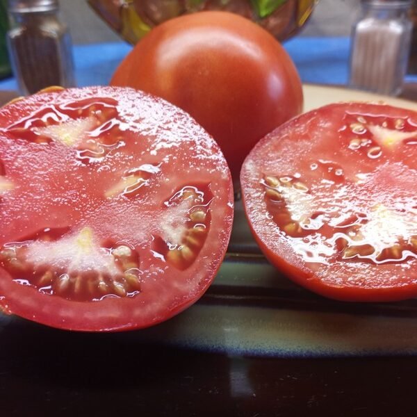 JETSTAR F2 BREED YOUR OWN TOMATOES
