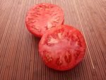 JETSTAR F2 OPEN POLLINATED TOMATOES