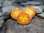 Mandarin Cross Tomato