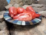 Jersey Giant Tomato Seeds.