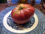 KENTUCKY PLATE NEW TOMATO