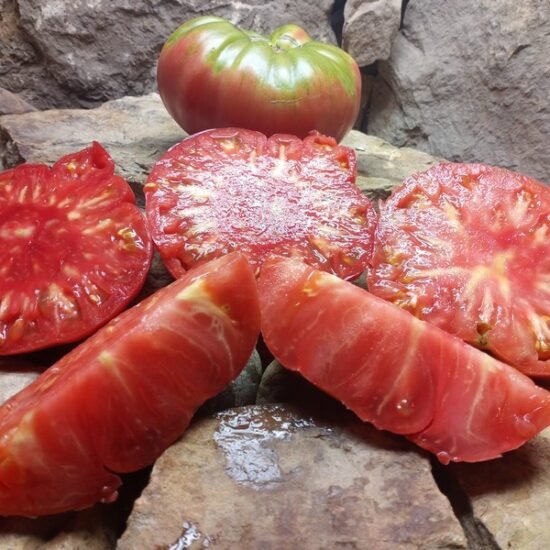 Red/Pink Tomatoes