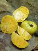 LEMON BOY (F3) CREATE YOUR OWN TOMATOES