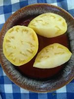 HEALTH KICK F3 INDETERMINATE TOMATOES