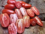 LIBBY'S PRIDE INDETERMINATE TOMATOES