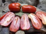 LIBBY'S PRIDE SALAD TOMATOES