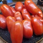 LIIBBY'S PRIDE TOMATOES