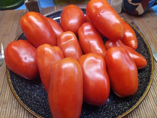 Libby's Pride Tomato