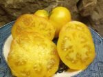 LIVINGSTON'S GOLDEN QUEEN NEW TOMATOES