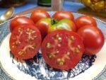LOFTHOUSE LANDRACE TOMATOES