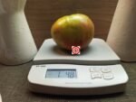 Large Tomato Taiga Tomato