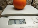 Mandarin Cross Tomato - Image 2