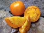 Mandarin Cross Tomato - Image 9
