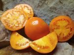 Mandarin Cross Tomato - Image 6