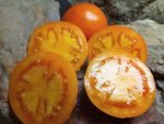 Mandarin Cross Tomato - Image 4