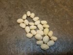 Mary Moore Greasy Bean - Image 4