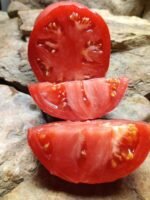 Mortgage Lifter Red Tomato - Image 2