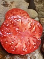 Mortgage Lifter Red Tomato - Image 4