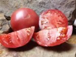 Mortgage Lifter Red Tomato
