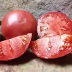 Mortgage Lifter Red Tomato