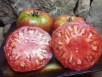 OLIVE HILL 1 POUND PLUS TOMATOES