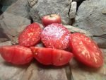 OLIVE HILL BEEFSTEAK TOMATOES
