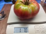 Olive Hill Tomato
