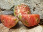 Panther Tomato