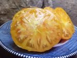PINEAPPLE BICOLORED TOMATOES