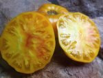 PINEAPPLE SLICING TOMATOES