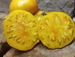 PINEAPPLE TOMATO