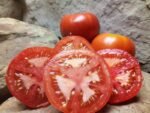 Pink Flamingo Tomato