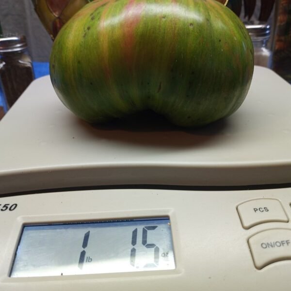 Pink Zebra Tomato