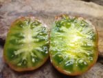 PIT VIPER DWARF SALAD TOMATOES