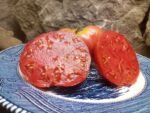 PONDEROSA PINK SLICING TOMATOES